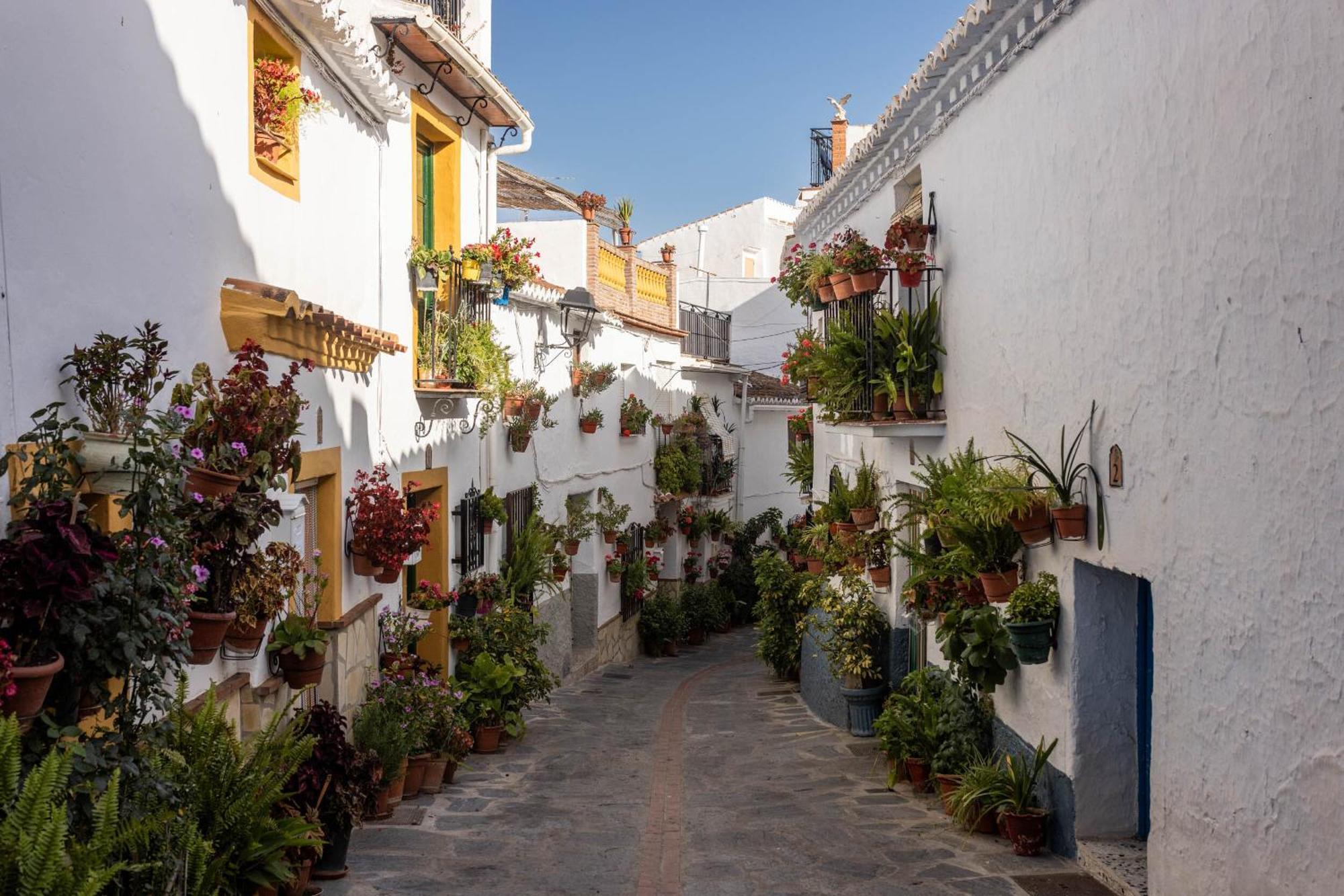 Olive & Ivy Guesthouse Canillas de Aceituno Exterior foto