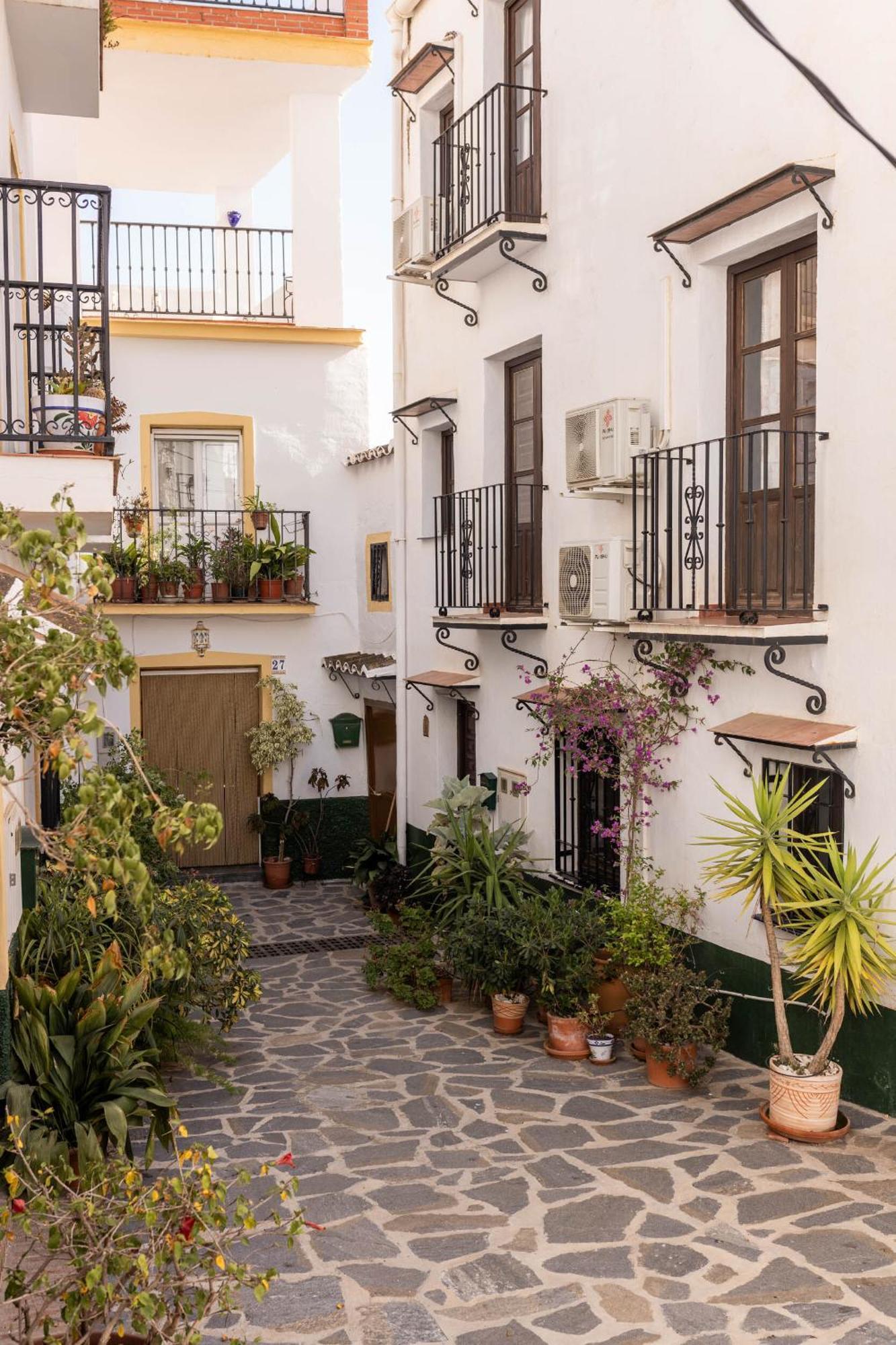Olive & Ivy Guesthouse Canillas de Aceituno Exterior foto